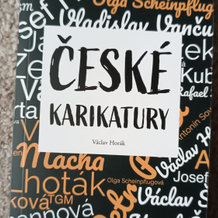 Tvůrčí psaní pro začátečníky - posudek textů a konzultace, co si počít dál