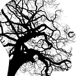 37xg9omob39vdd1-brain-ns.jpeg