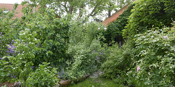 43crrzvuoijwlnd-p1010903.jpeg