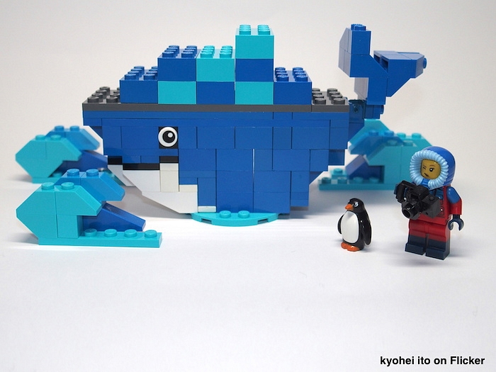 56fkzg7gmru-31518965950-1b75084023-o-2.jpg