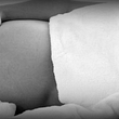 6hwsd3codvn-prenatal-1.jpg