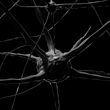 7ro1ycx5wxn-621yw2824k2-neuron.jpg