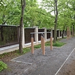 854p54f2mc0-img-0458.jpg