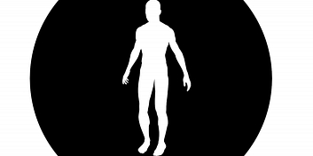9gq1zhw3iqia0j7-notice-the-body.jpg