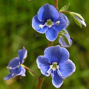 20131111-135836-vh.jpg